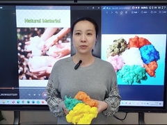 ビスコース繊維