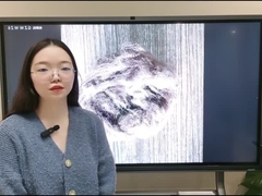 PPはステープル ファイバを